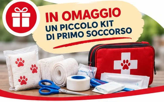 Piccolo kit di primo soccorso illustrato nella locandina del corso